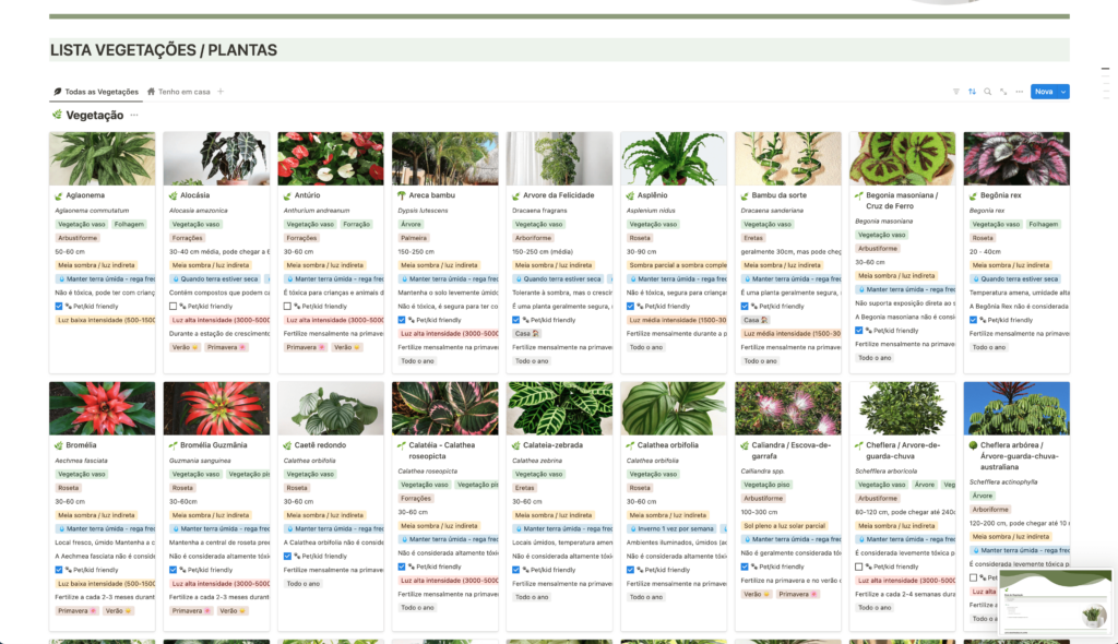 Base completa de informações sobre plantas e vegetações, com categoria, altura, modo de cuidado quanto à rega, sol, sombra, adubação, cuidados especiais, se é tóxica para pets e crianças, e muito mais!