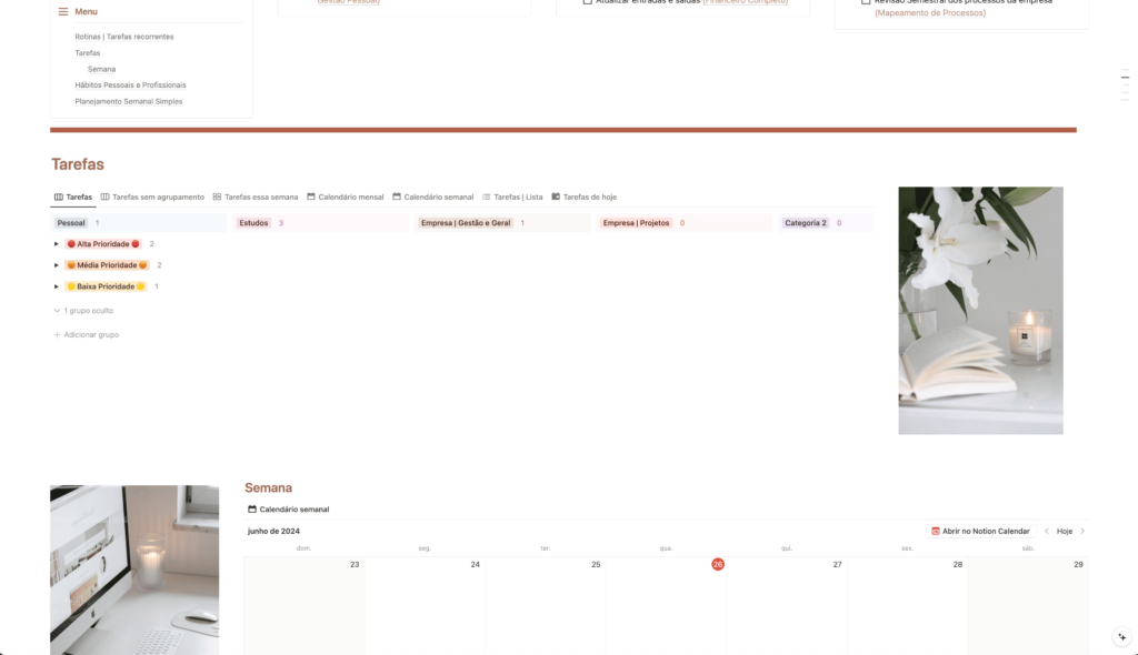 Tarefas organizadas por categorias, agrupadas por prioridades, para visualização facilitada do que é prioridade máxima no momento, para realocar as tarefas para as próximas semanas, e visualizar quando executá-las